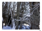 2012-01-ski_034
