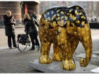 amstyerdam_007