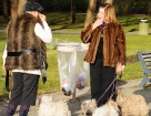 2010-02-velo-polo_002