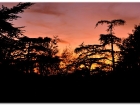 couchersoleil_1