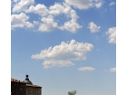 selection-2-3-4_022