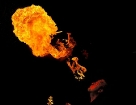 tlsenight_002