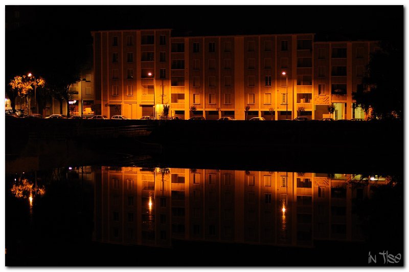 tlsenight_006