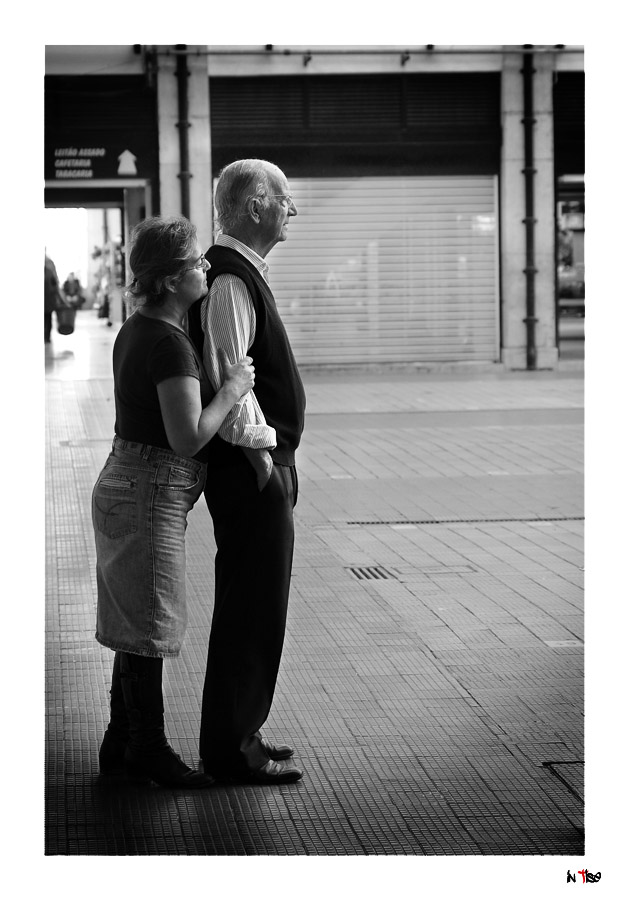 dsc_9781r