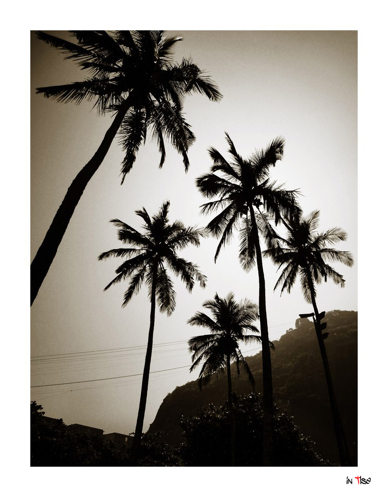 rio_002