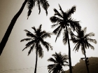 rio_002